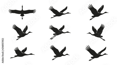 Elegant crane and stork silhouettes in flight.