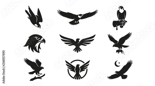 Eagle and falcon silhouette icons for branding.