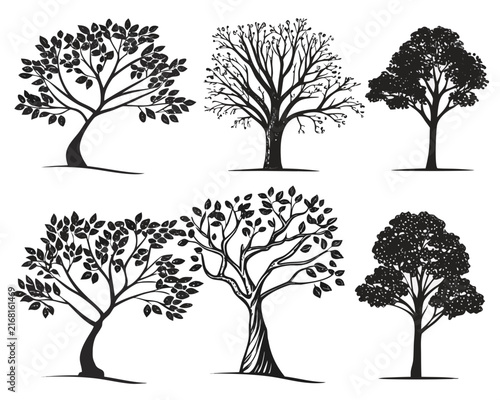 Collection of Six Distinct Tree Silhouettes in Various Styles and Shapes