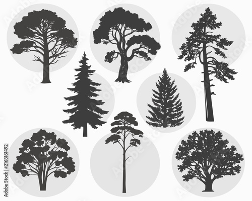 Collection of Diverse Tree Silhouettes for Nature and Landscape Design