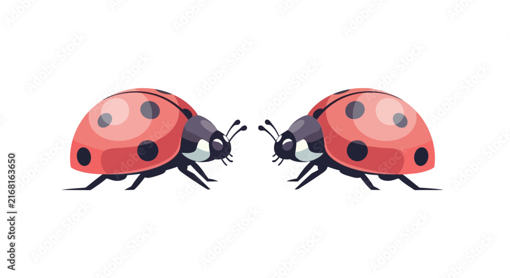 Fototapeta premium Cute ladybug vector cartoon isolated on white background