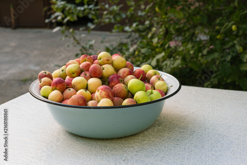 Fresh apple harvest in a bowl on a table with green garden background  