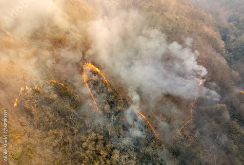El Nino climate event dries regions and increases wildfire risk.