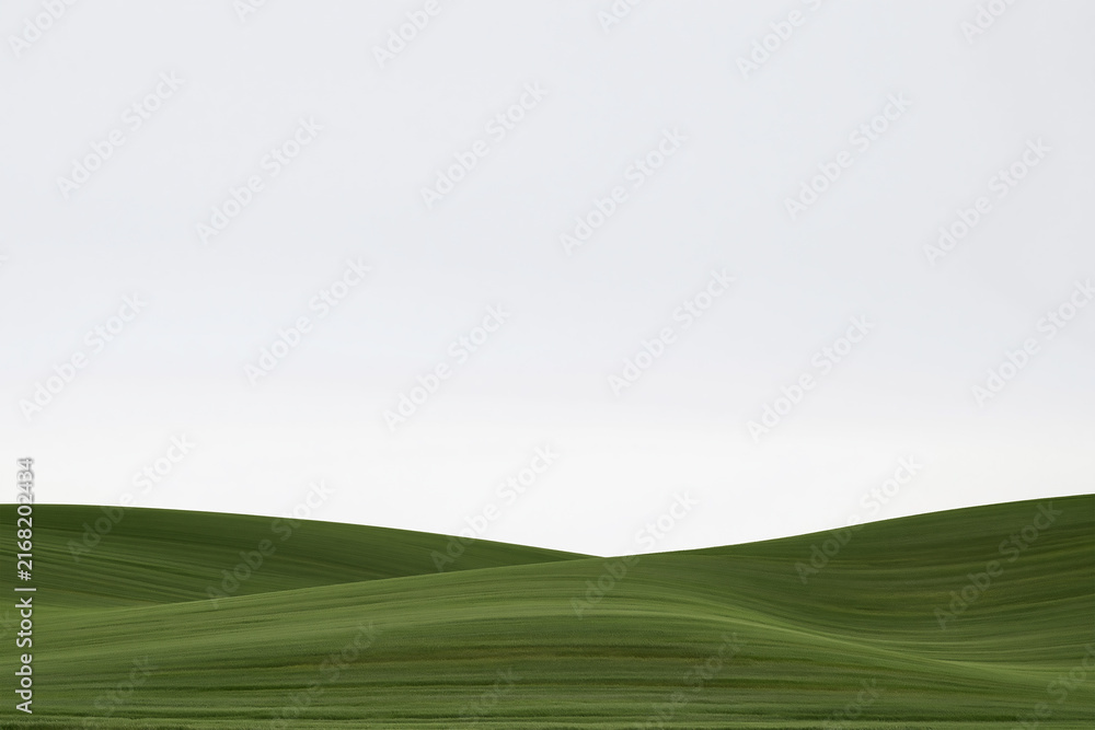 Obraz premium Minimalist Layered Green Waves of Grass Fields