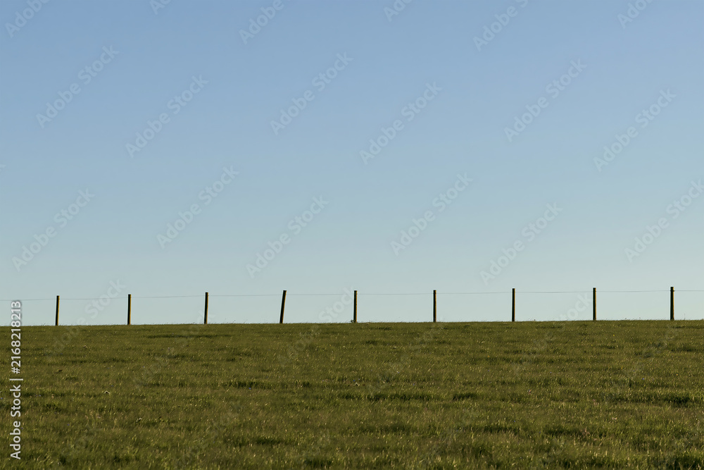Fototapeta premium Wooden fence line stretching across a vibrant green grassy field under a clear blue sky
