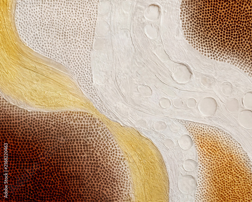 Fotografía Meander & Hive - Rich, amber-toned honeycomb textures create a grounding perimeter, framing smooth, plaster-like ribbons that wind diagonally across the canvas