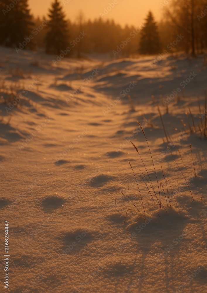 Fototapeta premium Serene snowy sunset landscape
