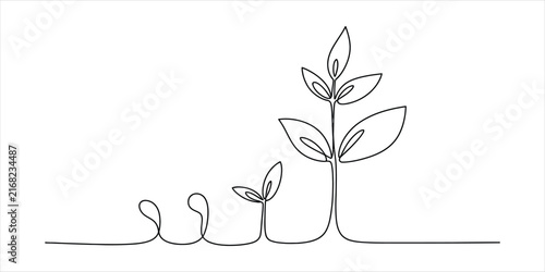 Continuous line drawing of a plant growing from a seed to a small tree