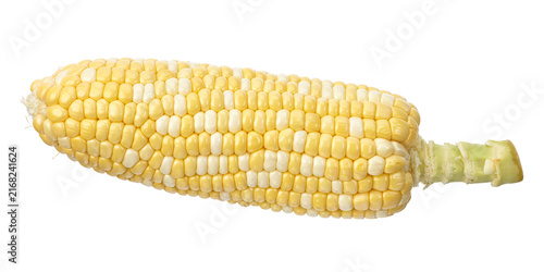 Fotografie Fresh bicolor sweet corn cob (Zea mays) featuring yellow and white kernels isolated on transparent background