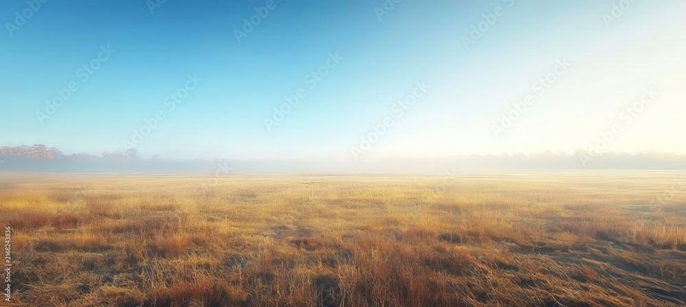Fototapeta premium Stunning View of an Open Field With Autumn Mist and Soft Morning Sunlight in a Peaceful Landscape