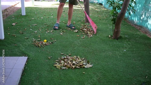 A man in summer clothing rakes fallen leaves in a garden using a leaf rake. Highlighting the concept of garden maintenance during autumn, spring, or year-round in warm climates like Cyprus