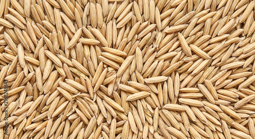 Material study of macro background of unhulled golden brown rice seeds filling the frame