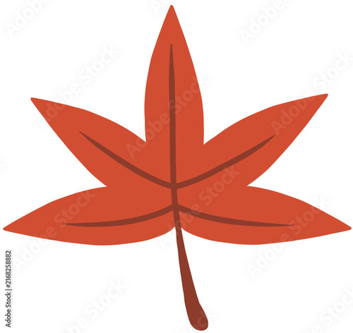 Maple Leaf Illustration