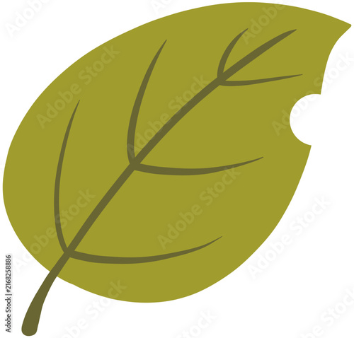 Autumn Leaves Illustration