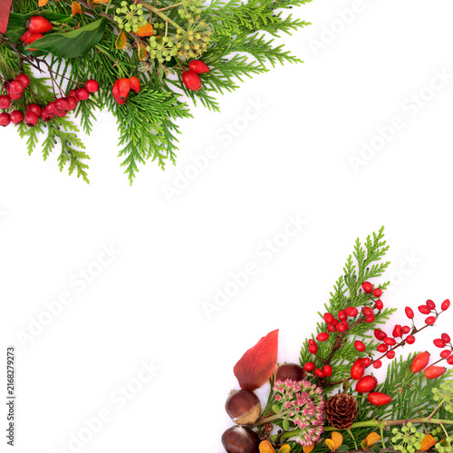 Cuadro en lienzo Autumn Fall season leaves, red berry fruit background border on white