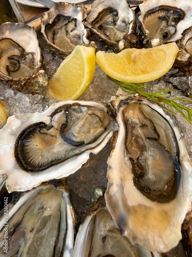 Plateau d'huîtres fraîches avec tranches de citron, spécialité gastronomique de fruits de mer