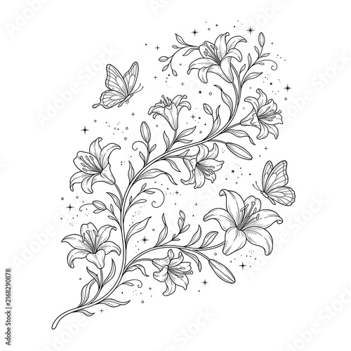 Elegant lily flowers with butterflies line art drawing