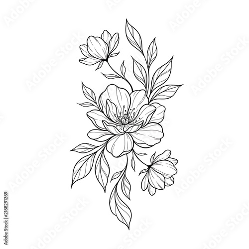 Hand drawn peony flower sketch with leaves