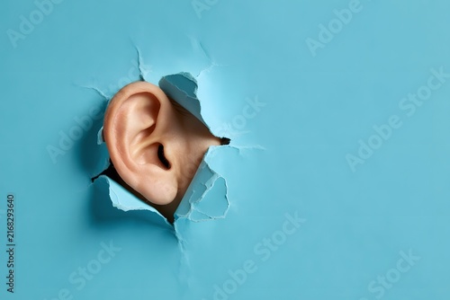 Curious human ear listening intently through a ragged tear in bright blue paper
