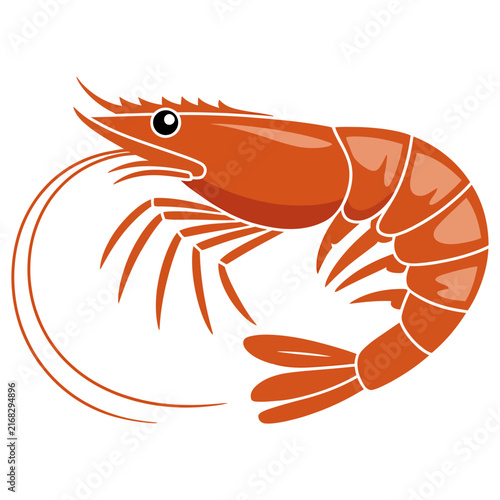 Shrimp Vector Illustration Isolated on White Background for Seafood, Marine Life, Aquatic Food and Ocean Cuisine Concepts