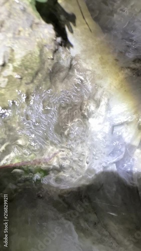 Water flowing from garden hose nozzle with small green plants growing beside it