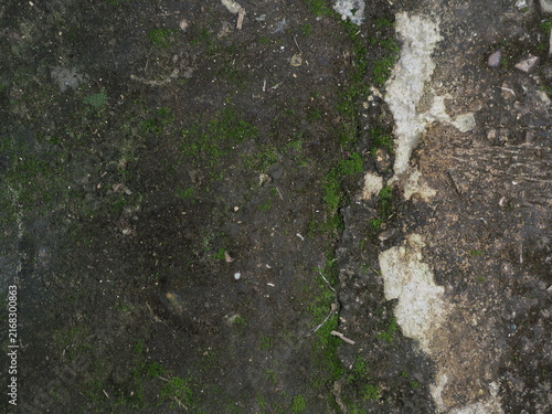 Quadro su tela top-down macro photograph showing an aged, damp concrete ground covered with green moss patches and dark organic dirt