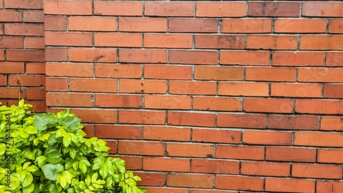 Weathered Red Brick Wall with Lush Green Foliage and Fresh Water Droplets