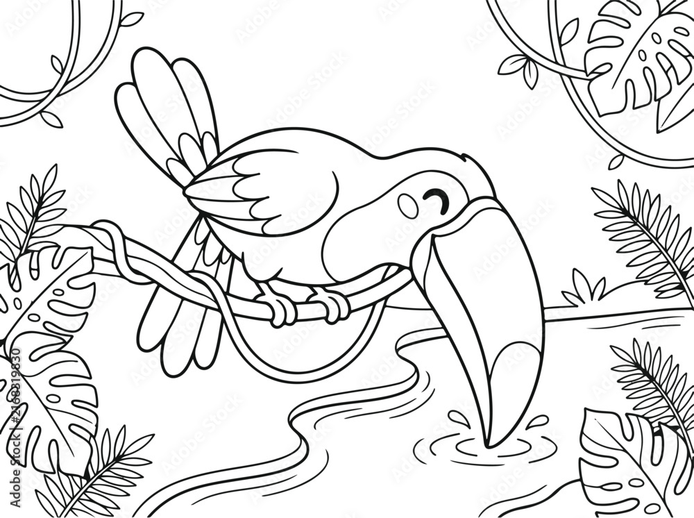 Naklejka premium Cute toucan bird drinking water in the jungle coloring page