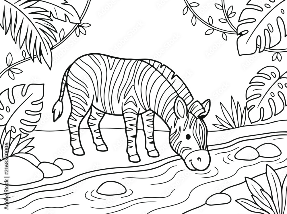 Naklejka premium Cute zebra drinking water from a river in the jungle, coloring page for kids