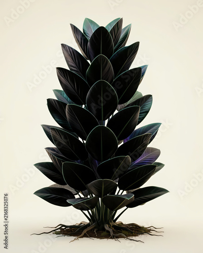 Pineapple Isolated on White, Black and Blue Backgrounds for Fresh Tropical Food and Minimalist Stock Photography