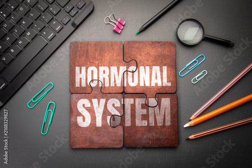 HORMONAL SYSTEM Wooden Puzzle Surrounded by Office and Research Tools