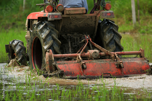 Farmer Driving Red Tractor Plowing Paddy Field with Egrets Foraging