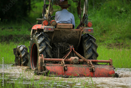 Farmer Driving Red Tractor Plowing Paddy Field with Egrets Foraging