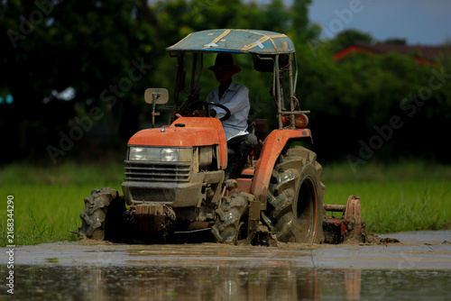 Farmer Driving Red Tractor Plowing Paddy Field with Egrets Foraging