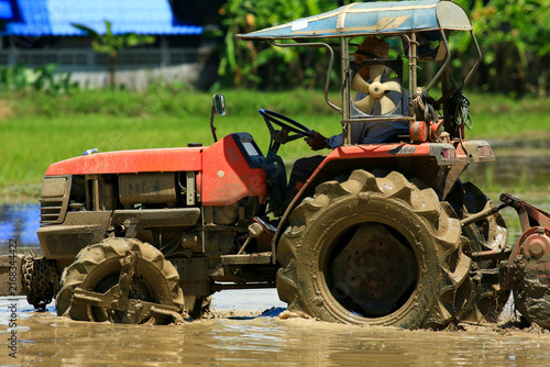Farmer Driving Red Tractor Plowing Paddy Field with Egrets Foraging