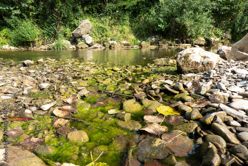 Algae on the gravel of the riverbank