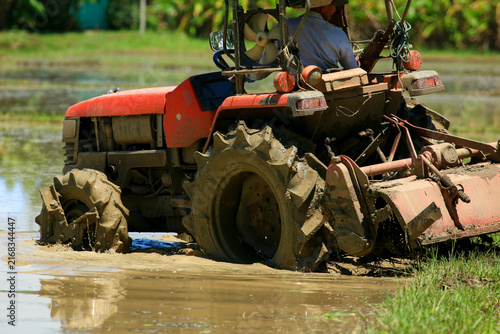 Farmer Driving Red Tractor Plowing Paddy Field with Egrets Foraging
