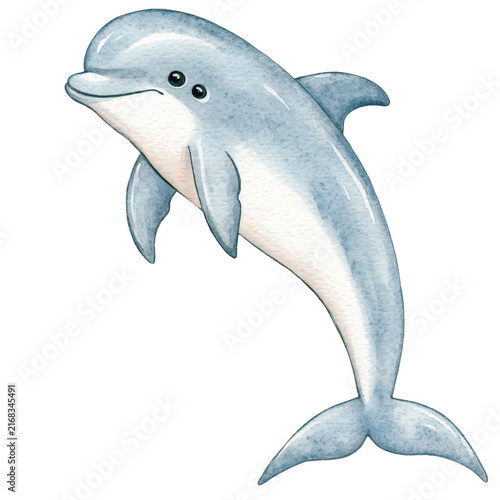 Canvas Print Dolphin Swimming In The Ocean Water.