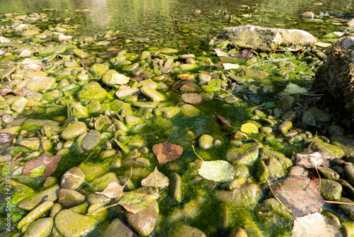 Foto Algae on the gravel of the riverbank
