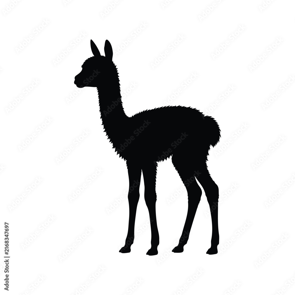 Naklejka premium Baby vicuna silhouette vector flat illustration design.