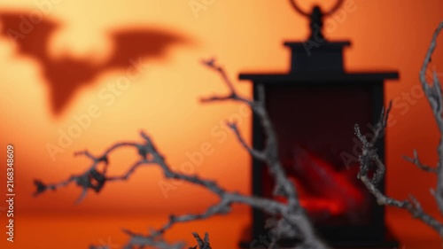 Rack focus from dry branch to glowing lantern fireplace with moving bat shadow for Halloween decor, spooky backgrounds and seasonal design