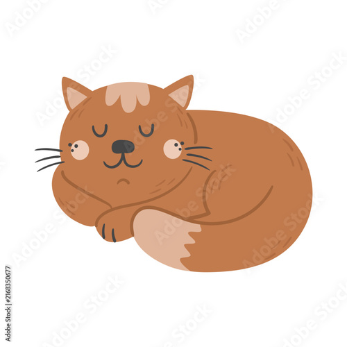 Adorable vector illustration of an orange cat sleeping curled in a ball, isolated on a white background