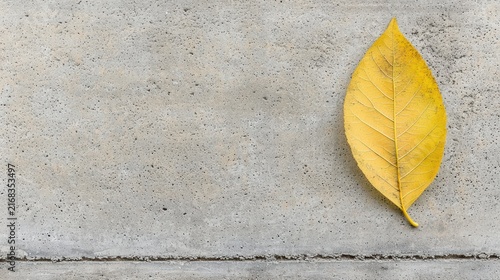 A yellow leaf on a concrete wall.