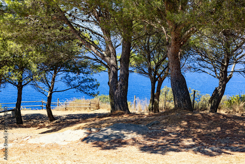 Landscape view from Populonia Castle in Tuscany, Italy, overlooking the surrounding  the maritime pine Mediterranean sea coastline pineta, Golfo di Baratti. Sunny summer day.