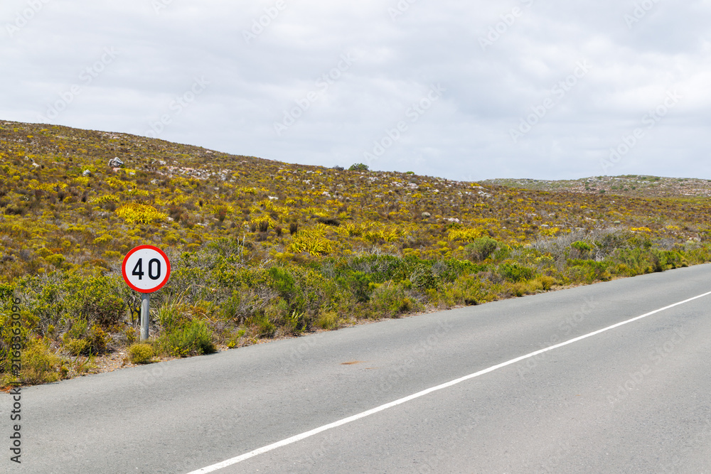 Fototapeta premium Road through hills near Cape of Good Hope