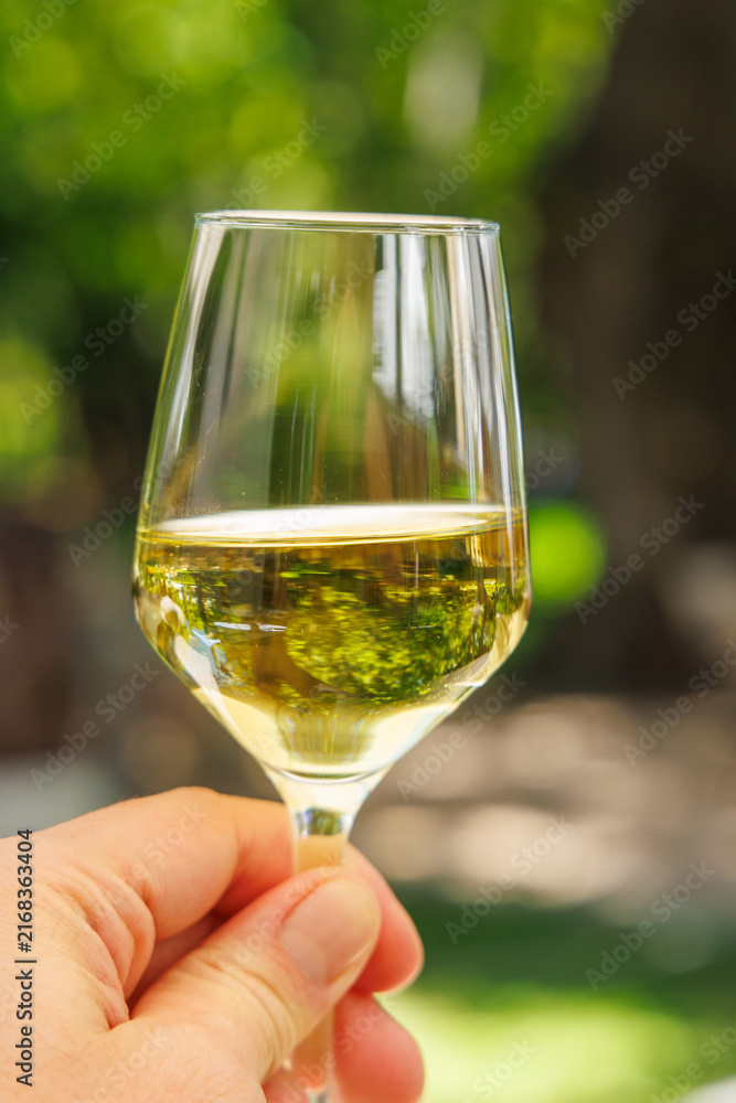 Fototapeta premium Glass of white wine in hand in sunlight