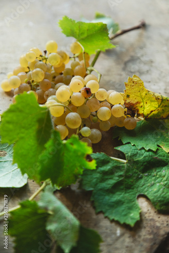 real bunch of white grapes on a rustic wooden table