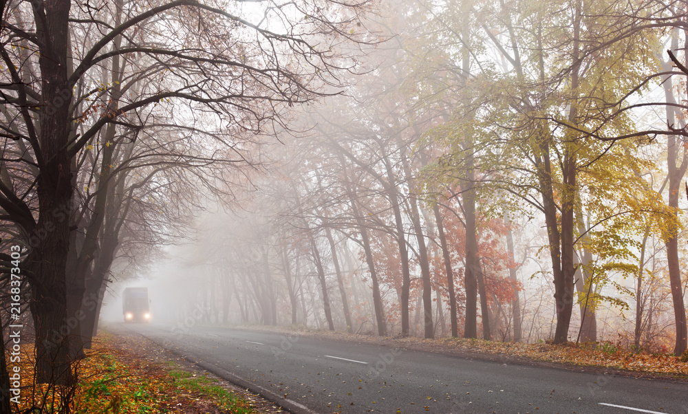 Fototapeta premium Road in foggy autumn forest with misty trees and and a truck in the distance
