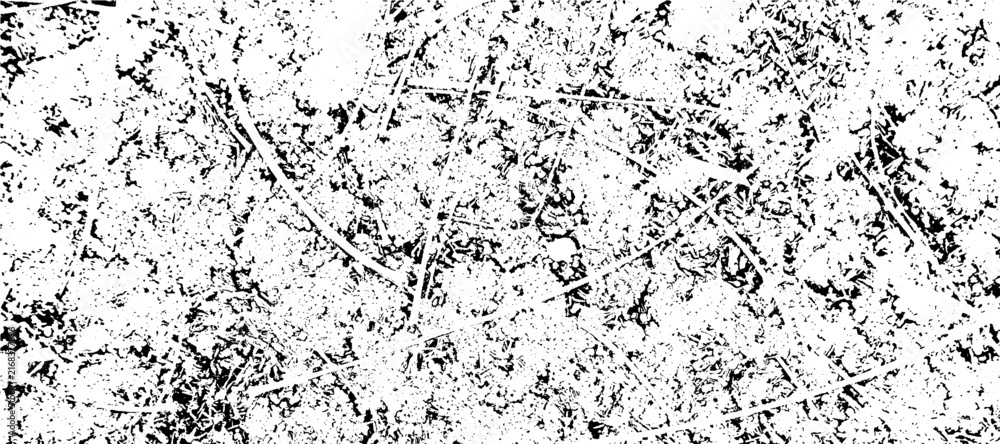 Fototapeta premium Vector Scratch Texture Background Abstract Distressed Twig Branch Overlay Surface