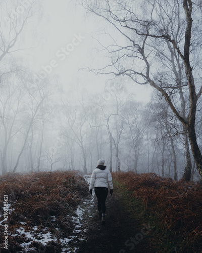 View of a person in a white jacket walking along a path through the misty, wintery Cannock Chase Forest with bare birch trees and frost-covered ferns in Staffordshire, England, United Kingdom.
